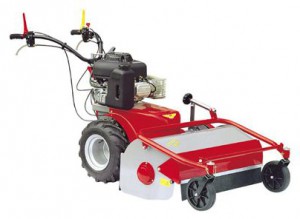 trimmer (self-propelled lawn mower) Meccanica Benassi TR 80 Photo review
