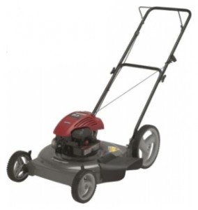 trimmer (lawn mower) CRAFTSMAN 38534 Photo review