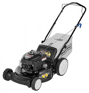 trimmer (lawn mower) CRAFTSMAN 38911 Photo review