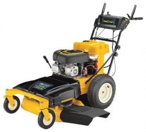 trimmer (self-propelled lawn mower) Cub Cadet CC 760 ES Photo review