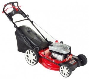 trimmer (self-propelled lawn mower) EFCO LR 55 VBX Photo review