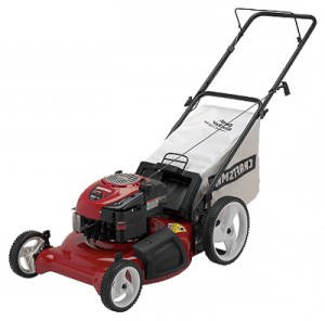 trimmer (lawn mower) CRAFTSMAN 38843 Photo review