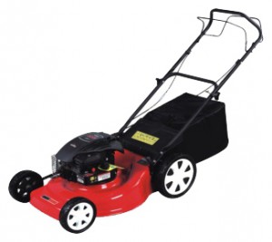 trimmer (self-propelled lawn mower) Watt Garden WLM-502 Photo review