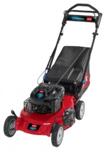 trimmer (lawn mower) Toro 20792 Photo review